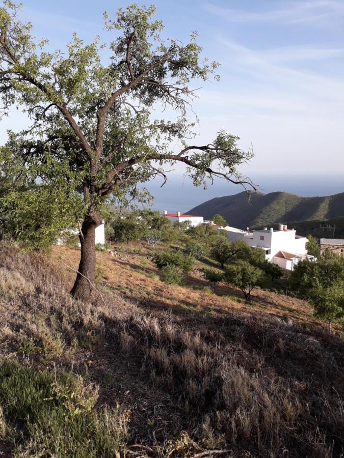 Casa Arte De Sorvilán מראה חיצוני תמונה